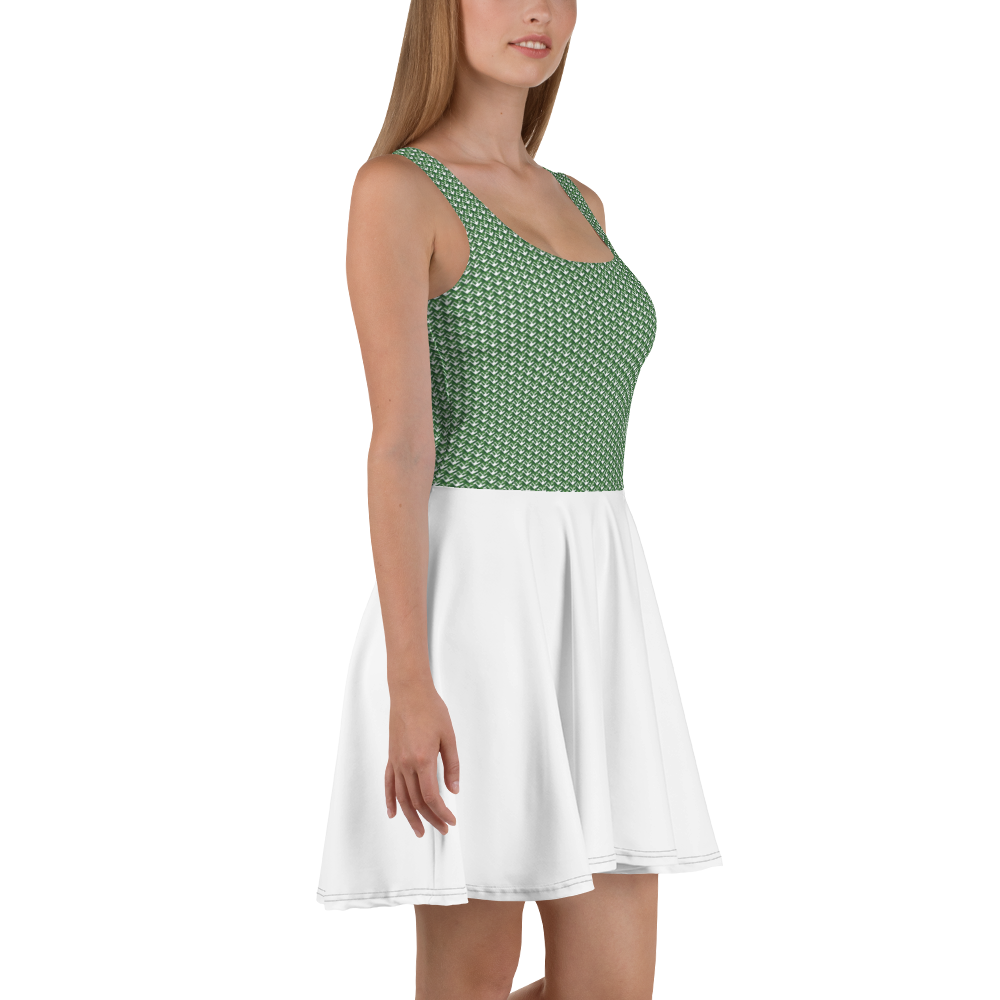 Street Sundown Skater Dress